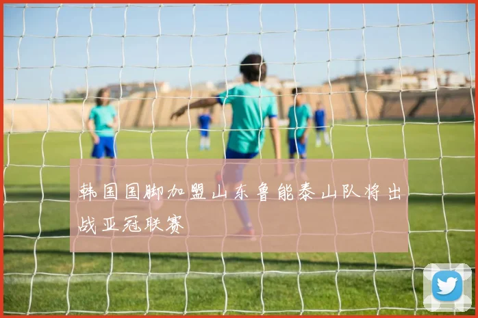 韩国国脚加盟山东鲁能泰山队将出战亚冠联赛